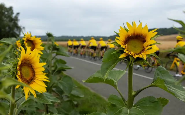 Unsere Grundwerte